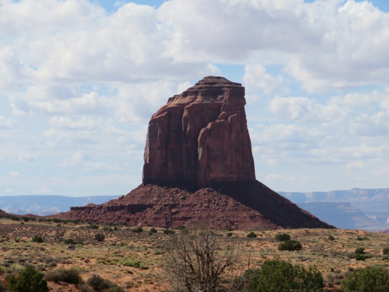 In Monument Valley: Gray Whiskers